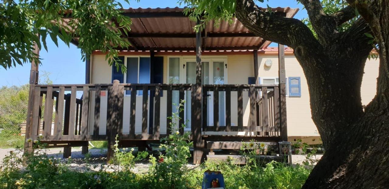 Hotel The Farm Tiny House - Tiny Casa Chiclana de la Frontera Esterno foto